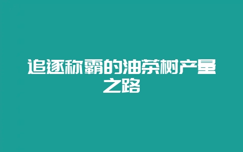 追逐称霸的油茶树产量之路-会东网