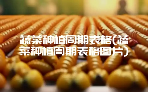 蔬菜种植周期表格(蔬菜种植周期表格图片)-会东网