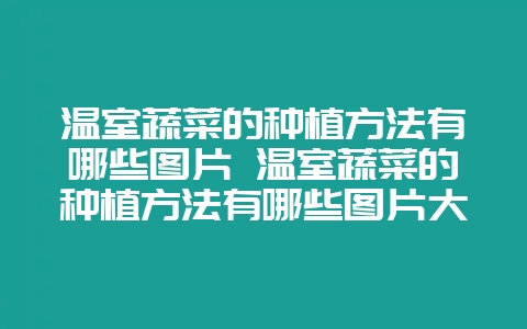 温室蔬菜的种植方法有哪些图片 温室蔬菜的种植方法有哪些图片大全-会东网