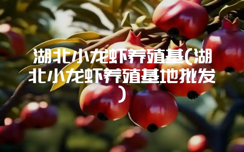 湖北小龙虾养殖基(湖北小龙虾养殖基地批发)-会东网