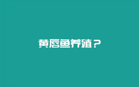 黄唇鱼养殖？-会东网
