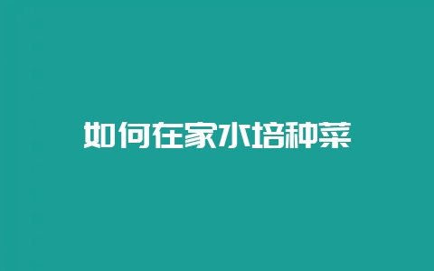 如何在家水培种菜-会东网