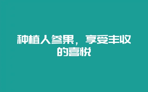 种植人参果，享受丰收的喜悦-会东网
