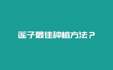 莲子最佳种植方法？-会东网