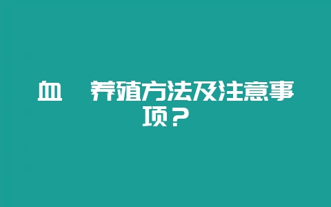 血鳗养殖方法及注意事项？-会东网