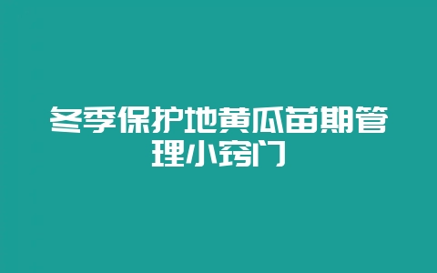 冬季保护地黄瓜苗期管理小窍门-会东网