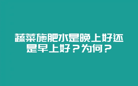 蔬菜施肥水是晚上好还是早上好？为何？-会东网