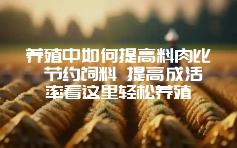 养殖中如何提高料肉比 节约饲料 提高成活率看这里轻松养殖-会东网