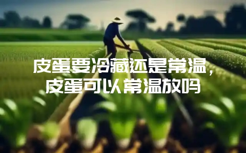 皮蛋要冷藏还是常温，皮蛋可以常温放吗-会东网
