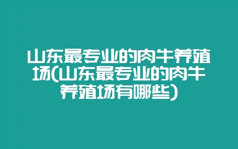 山东最专业的肉牛养殖场(山东最专业的肉牛养殖场有哪些)-会东网