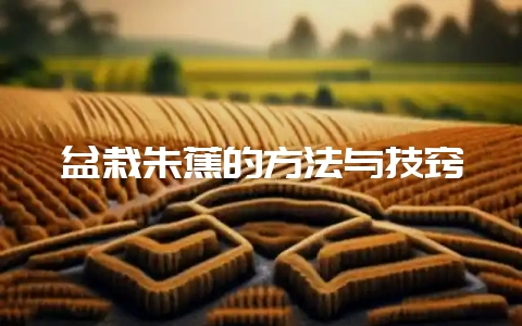 盆栽朱蕉的方法与技窍-会东网