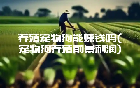 养殖宠物狗能赚钱吗(宠物狗养殖前景利润)-会东网