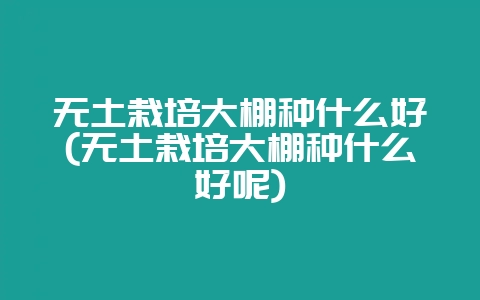 无土栽培大棚种什么好(无土栽培大棚种什么好呢)-会东网