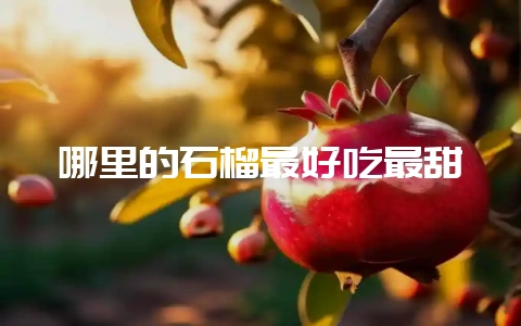 哪里的石榴最好吃最甜-会东网