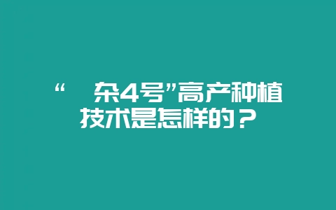 “泸杂4号”高产种植技术是怎样的?-会东网