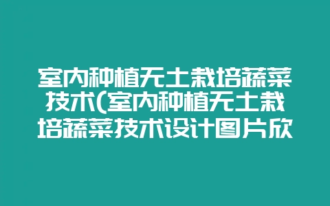 室内种植无土栽培蔬菜技术(室内种植无土栽培蔬菜技术设计图片欣赏)-会东网