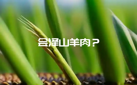 会泽山羊肉？-会东网