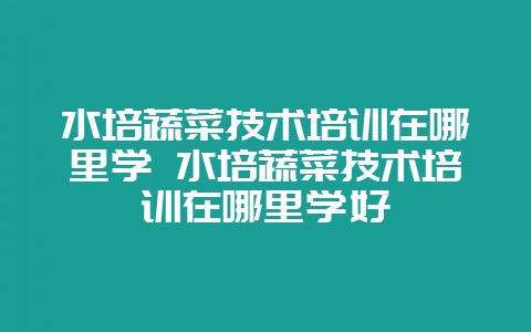水培蔬菜技术培训在哪里学 水培蔬菜技术培训在哪里学好-会东网
