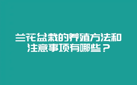 兰花盆栽的养殖方法和注意事项有哪些？-会东网