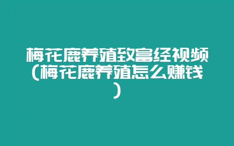 梅花鹿养殖致富经视频(梅花鹿养殖怎么赚钱)-会东网