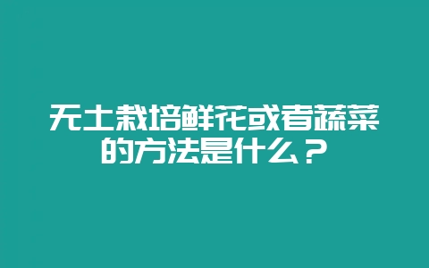 无土栽培鲜花或者蔬菜的方法是什么？-会东网