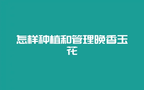 怎样种植和管理晚香玉花-会东网