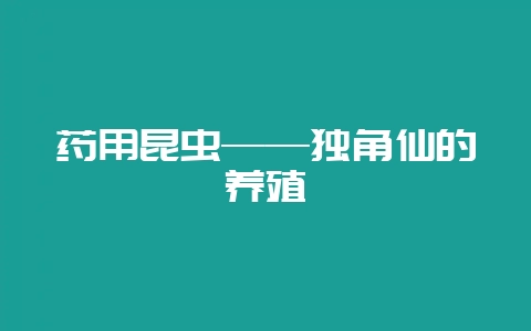 药用昆虫——独角仙的养殖-会东网