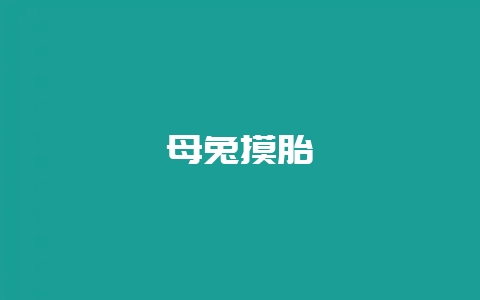 母兔摸胎-会东网