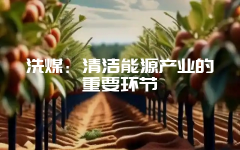 洗煤：清洁能源产业的重要环节-会东网