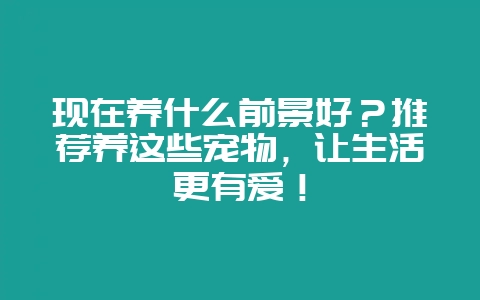 现在养什么前景好？推荐养这些宠物，让生活更有爱！-会东网