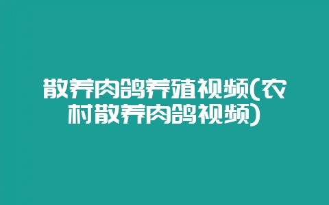 散养肉鸽养殖视频(农村散养肉鸽视频)-会东网