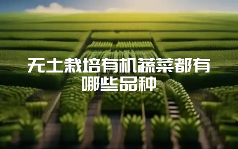无土栽培有机蔬菜都有哪些品种-会东网