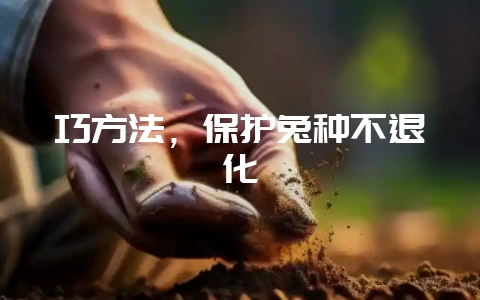 巧方法，保护兔种不退化-会东网