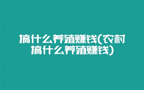 搞什么养殖赚钱(农村搞什么养殖赚钱)-会东网
