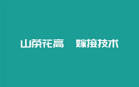 山茶花高砧嫁接技术-会东网