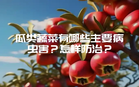 瓜类蔬菜有哪些主要病虫害？怎样防治？-会东网