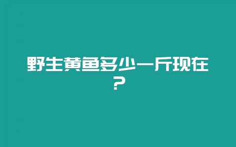 野生黄鱼多少一斤现在？-会东网