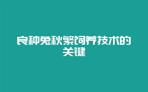 良种兔秋繁饲养技术的关键-会东网
