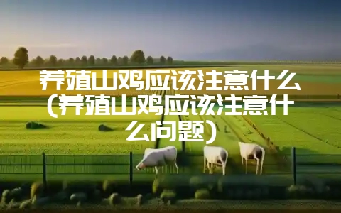 养殖山鸡应该注意什么(养殖山鸡应该注意什么问题)-会东网