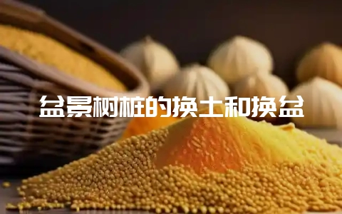 盆景树桩的换土和换盆-会东网