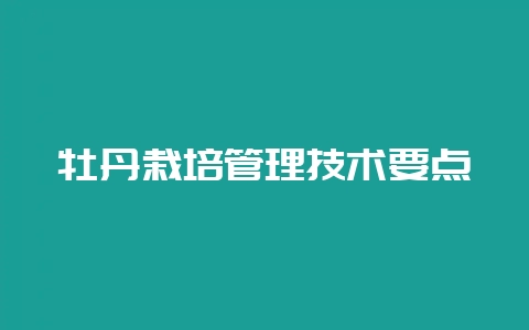 牡丹栽培管理技术要点-会东网
