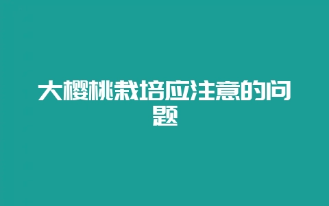 大樱桃栽培应注意的问题-会东网