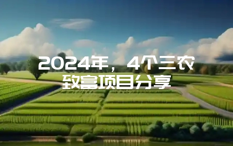 2024年,4个三农致富项目分享-会东网