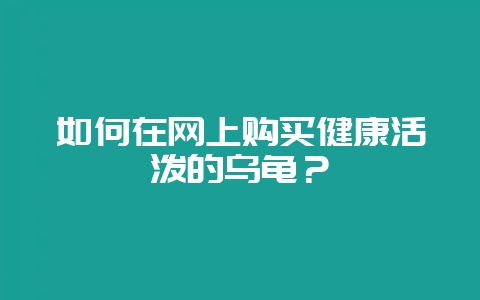 如何在网上购买健康活泼的乌龟？-会东网