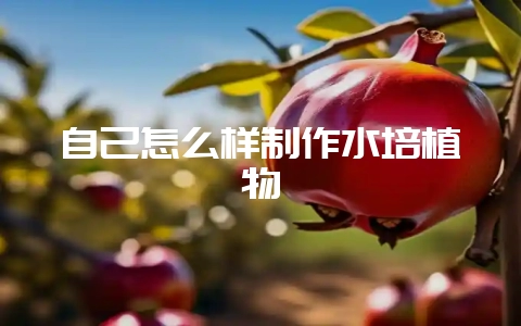 自己怎么样制作水培植物-会东网