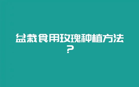 盆栽食用玫瑰种植方法?-会东网