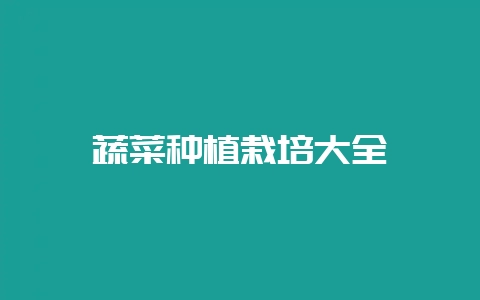蔬菜种植栽培大全-会东网