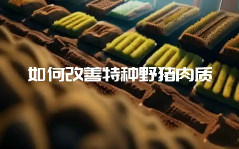 如何改善特种野猪肉质-会东网