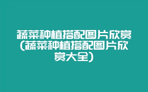 蔬菜种植搭配图片欣赏(蔬菜种植搭配图片欣赏大全)-会东网