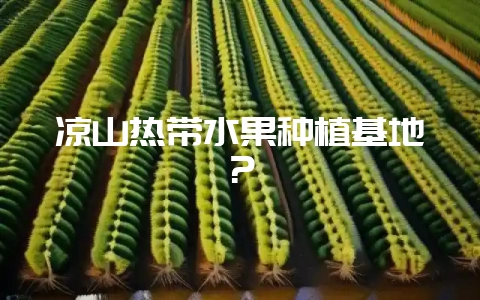 凉山热带水果种植基地？-会东网